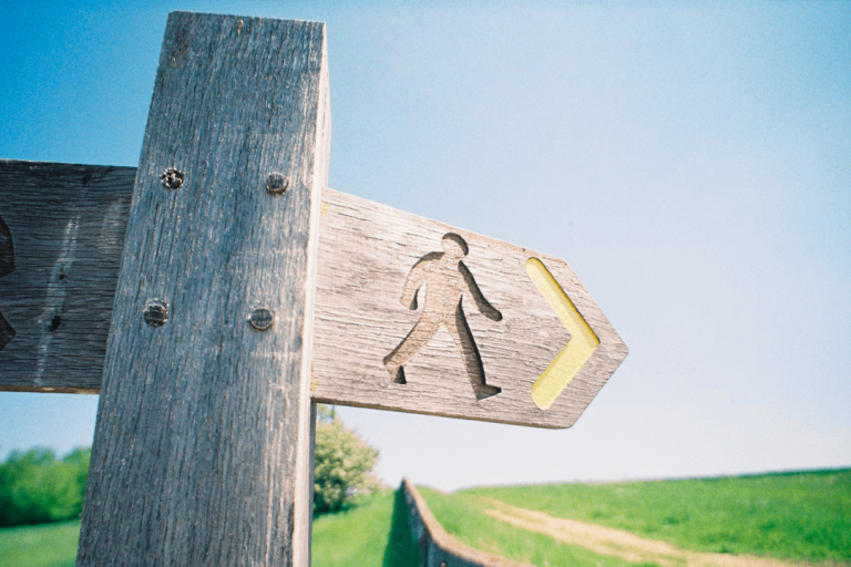 wellbeing strategy